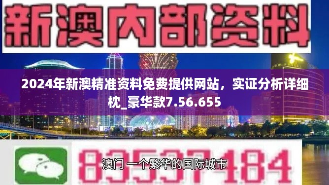 新澳2024年精准正版资料,精细化分析说明_GM版46.833