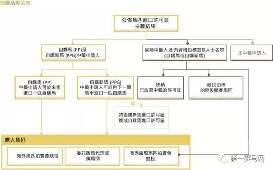 2024香港特马今晚开奖,现状说明解析_AR版77.120